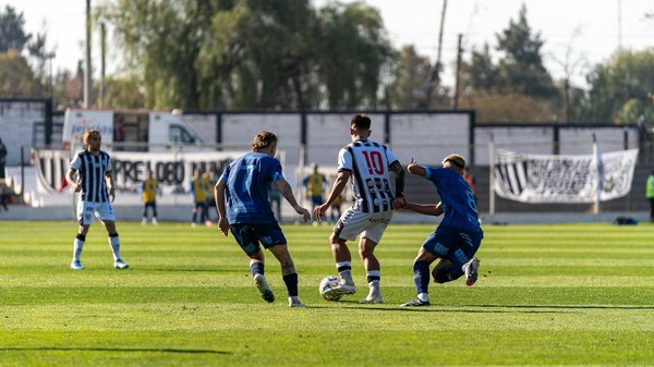 What Are the Most Common Pets in the UK and Why?